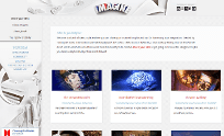 Campaign sites and microsites